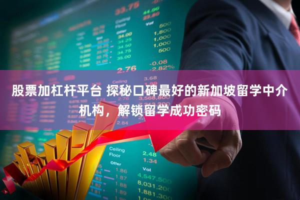股票加杠杆平台 探秘口碑最好的新加坡留学中介机构，解锁留学成功密码