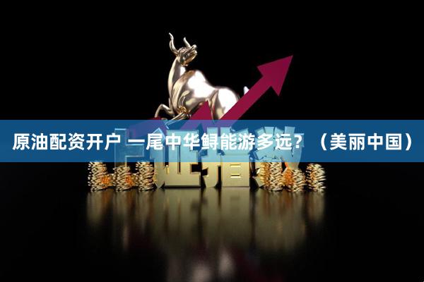 原油配资开户 一尾中华鲟能游多远？（美丽中国）